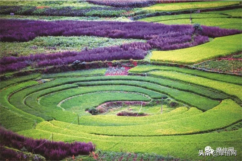 刘智远：摩托江湖的行者