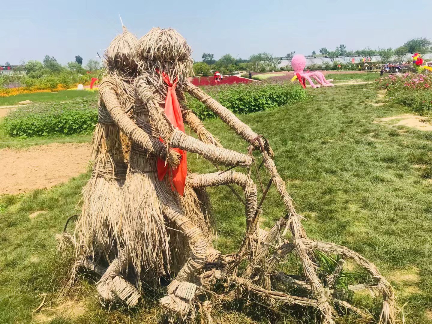 同心花海风景区,春光无限好旅游观光
