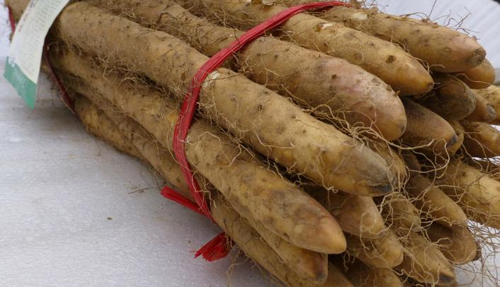 铁棍山药口感,香甜糯铁棍山药