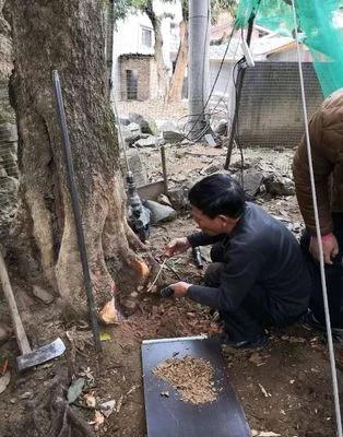 白蚁防治院,白蚁的防治价格