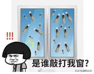 飞蚁又来了~遇到飞蚁不要触碰！有这些办法