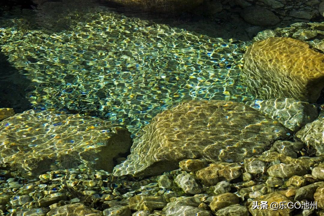 牯牛降直播间回放,石台县牯牛降直播间