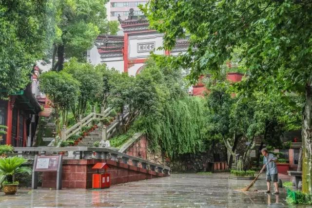 华丽转身！全面开挂！2020年这个区域涅槃重生！走上人生巅峰