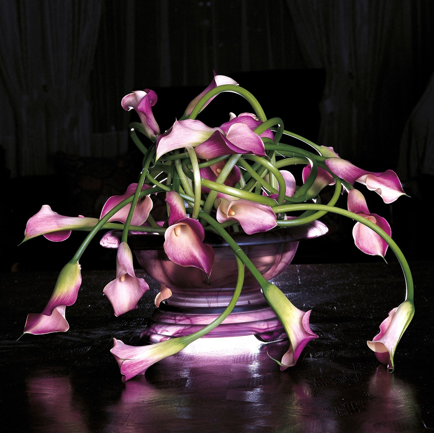 閰掑簵杩庡鑺卞崏鎻掕姳,閰掑簵濠氬簡鑺辨潫