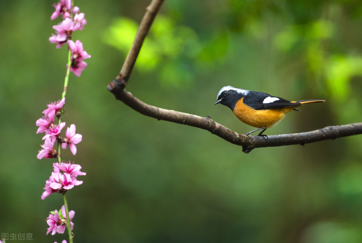 庄子的智慧思维,庄子高深境界视频