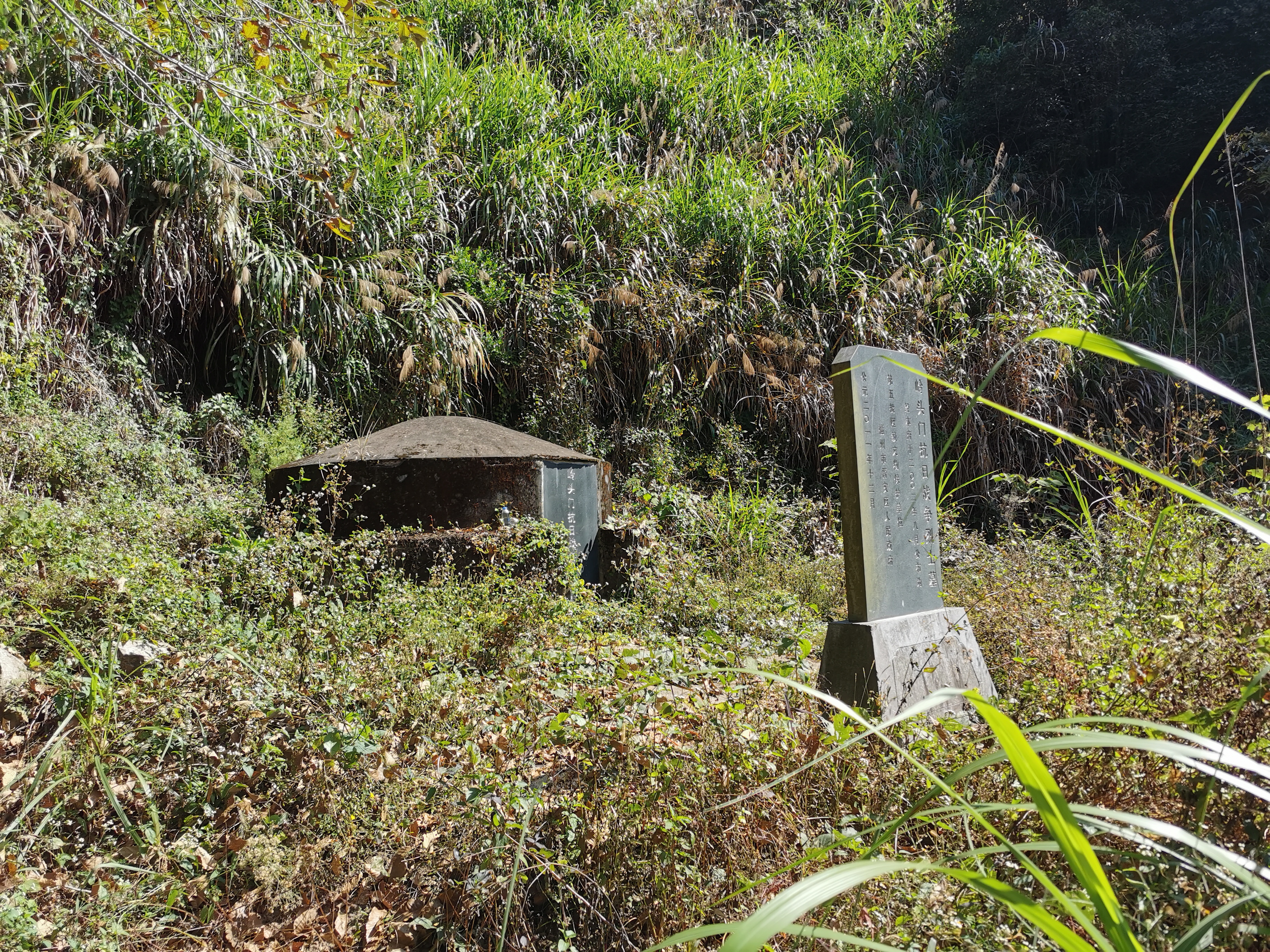 登云水库,登云湖水库