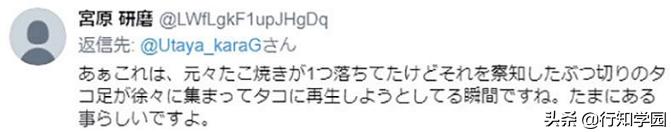 日本网友突遇“章鱼*弹炸**”引在线网友激情推理，这脑洞服了