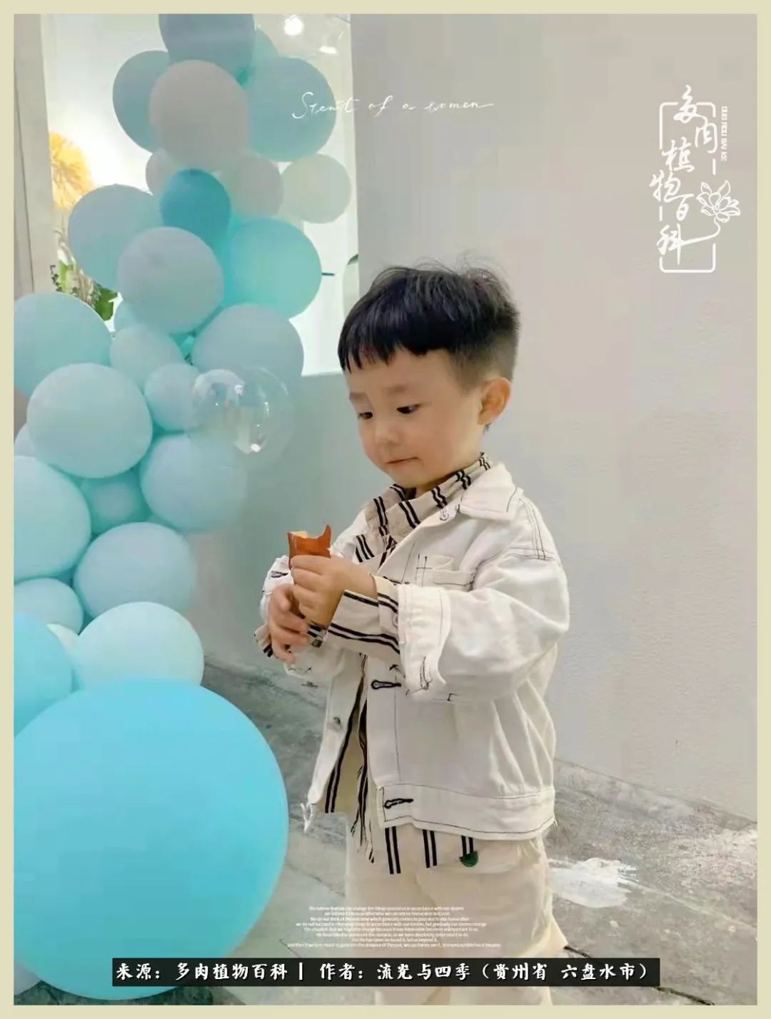 国庆假期你快乐吗?来,凉都美肉与你相伴一一小乌木的霸气东云