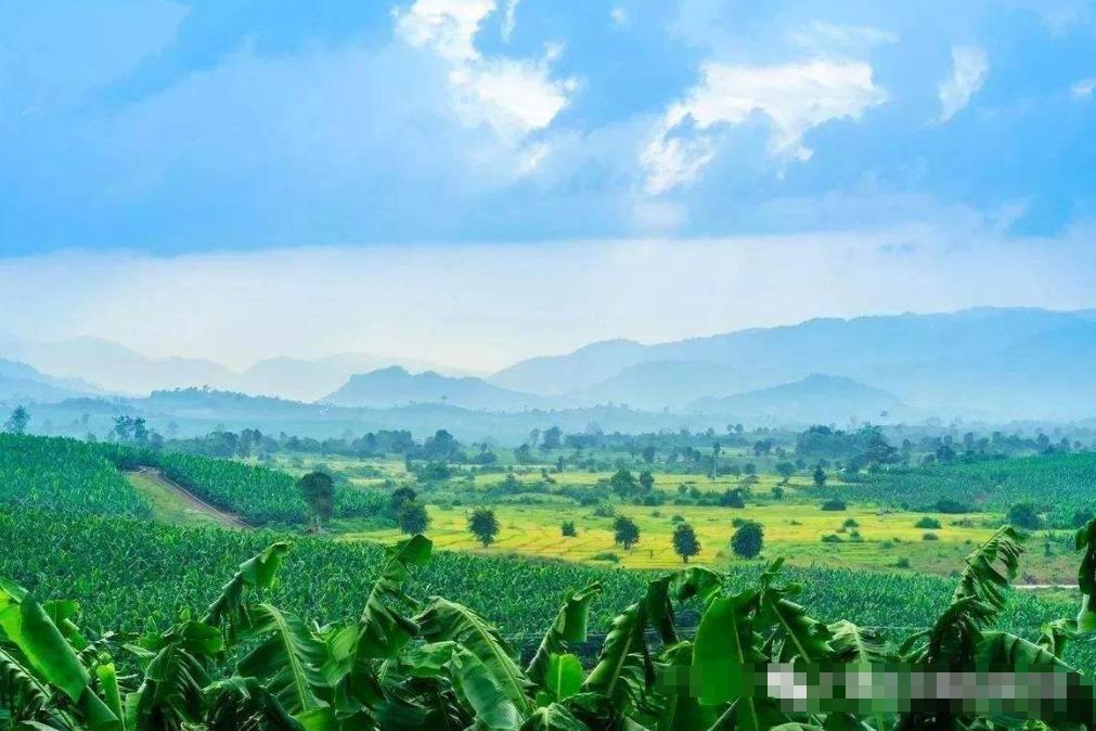 壮族是中华民族不可或缺的民族,壮族什么时候成为少数民族的