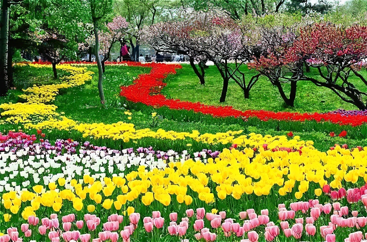 合肥被评为最宜居的城市,西安与合肥哪个宜居