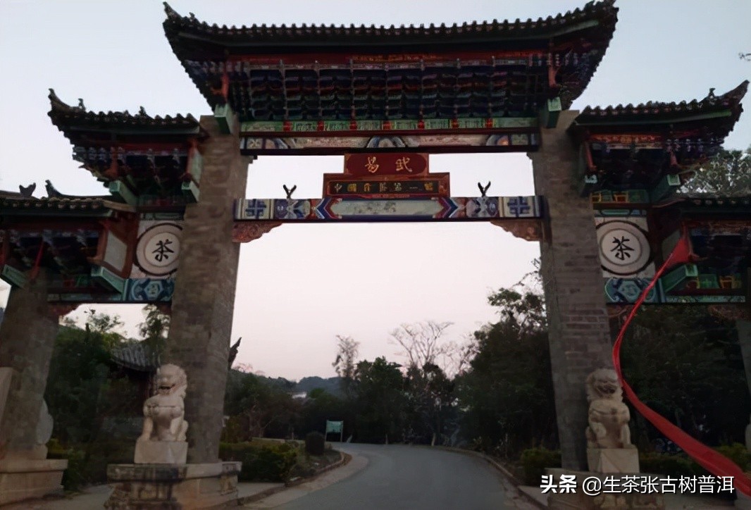 详述易武古树茶的几大亮点,告诉你茶友为什么喜欢喝?