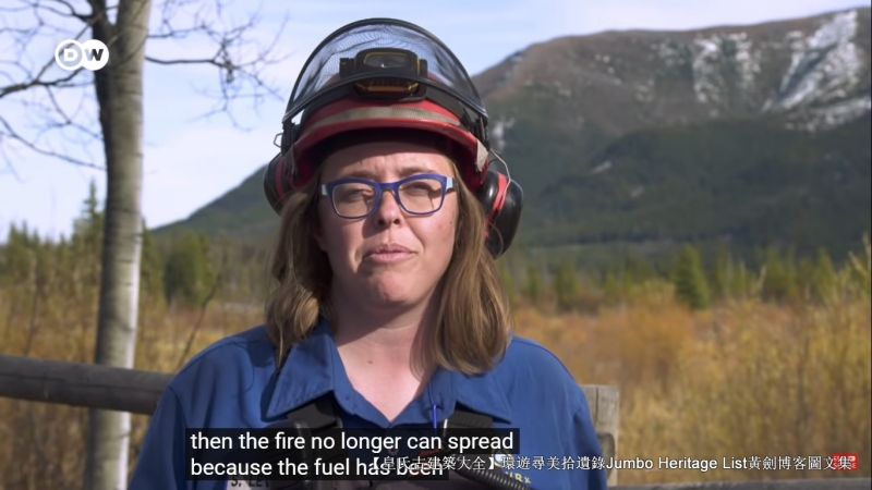 第4027回：气候*弹炸**亚洲纸浆，水上烟泥炭地退化