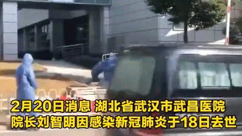 全球招募医疗志愿者,全球爱心人士招募