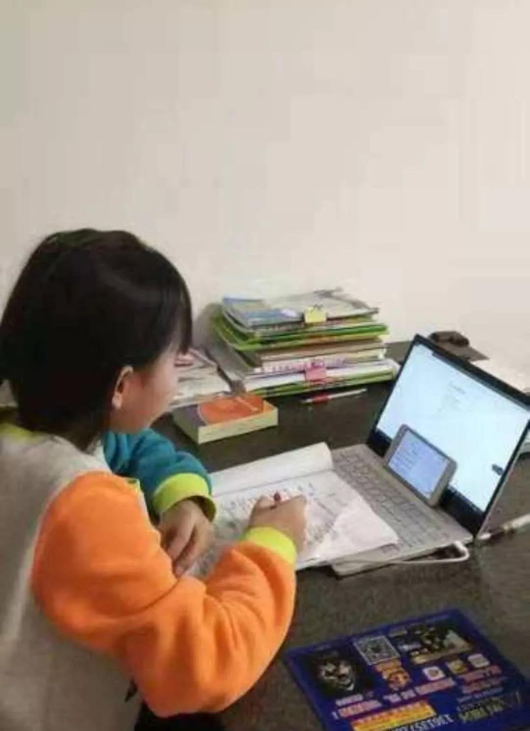 延安兰家坪小学新闻,延安市兰家坪小学排行