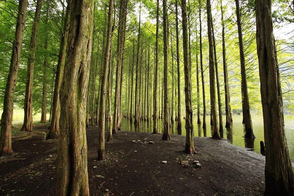 汉中龙池湖攻略,汉中龙池湖简介