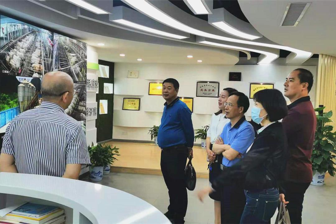 建行支持乡村振兴,建行乡村振兴贷