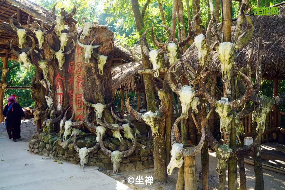 过年了你的爱车清洗了吗,新春要把你的爱车打扮美美的