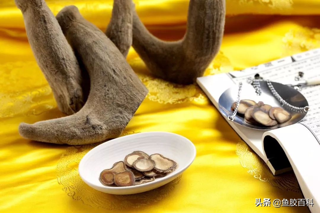 鹿茸怎么吃才好吃,鹿茸怎么吃教你4种最营养的做法