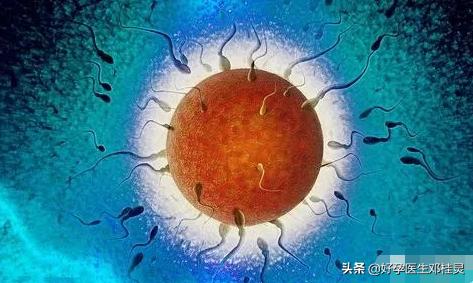 测到有排卵试孕了还是没怀孕？医生说：这4点全做，好怀孕远不了