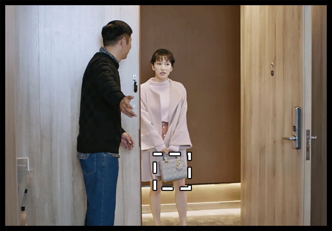 除了苏家和凌家还有什么家,除了苏家还有哪个家族