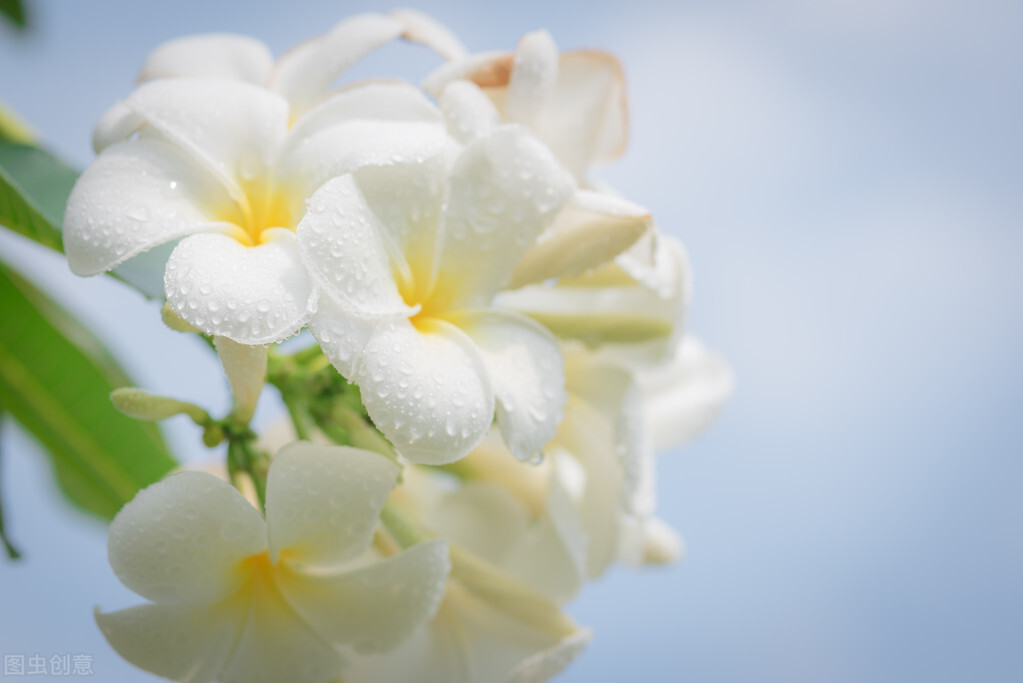 同样只活在自己的世界里，熊磊、丁红、素老三，人生如此不同