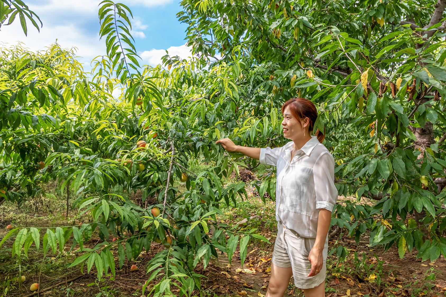 济南南山好吃的美食店推荐,济南南山区有什么好吃的