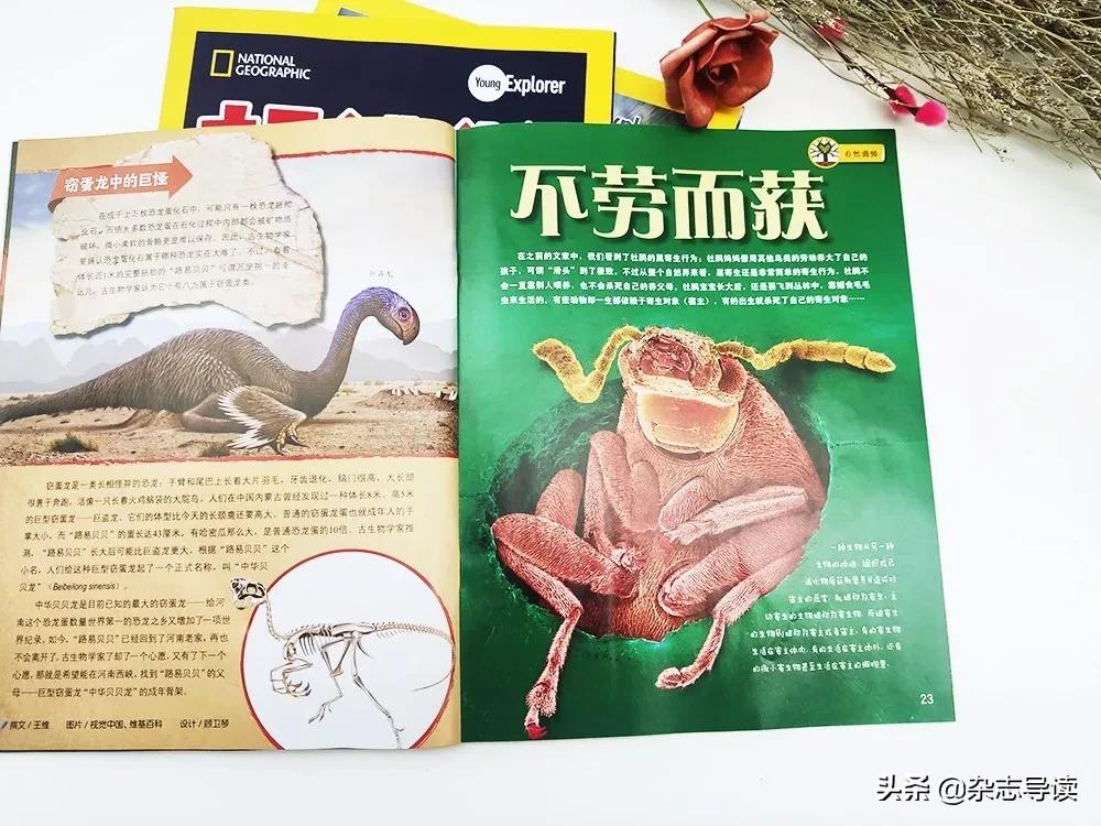 孩子必读的科普读物,哪些适合小学生看的科普杂志