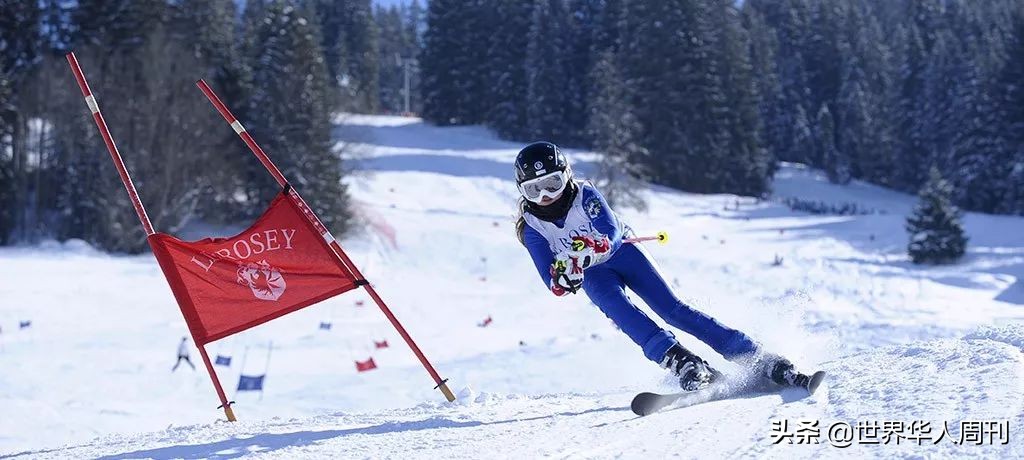 赵文卓大女儿读哪个学校,赵文卓女儿读的学校