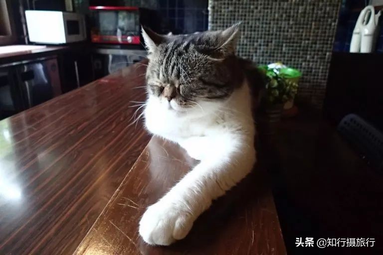 大阪小众景点,去大阪注意事项