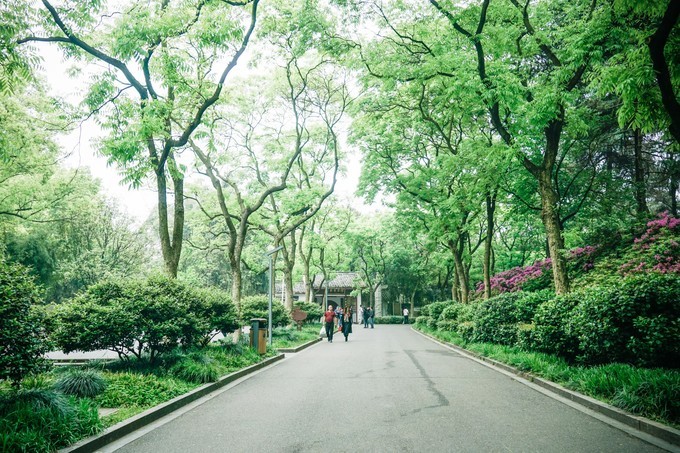 长沙三天两夜吃喝玩乐,长沙三天两晚自由行攻略酒店