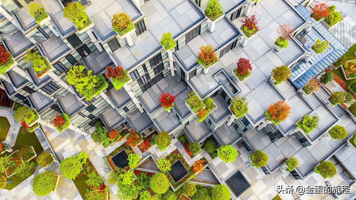 上海天安千树1分钟镜头,上海网红建筑天安千树