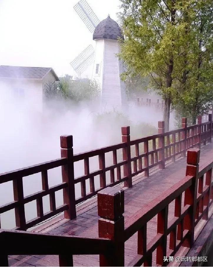 郫都区最美的花海,成都郫都花乡玫瑰开放了吗