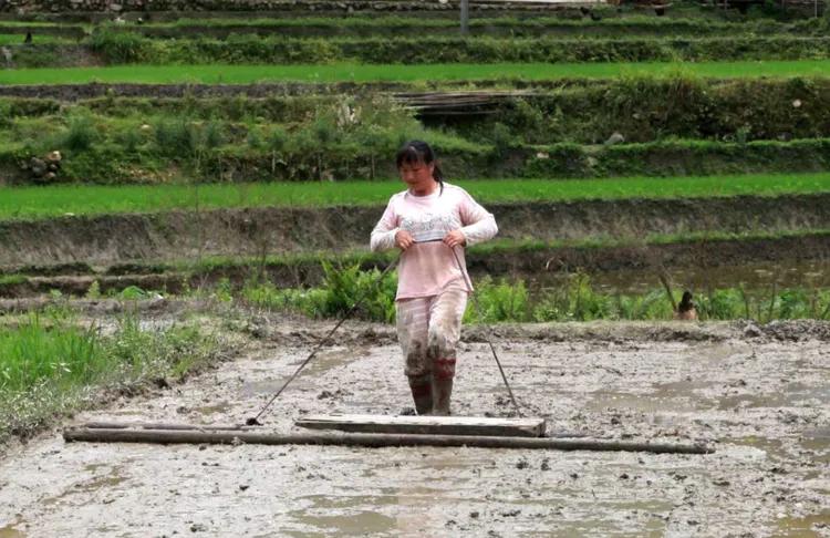鐣呮父榛勬睙,榛勬睙鐣呮父涓浗