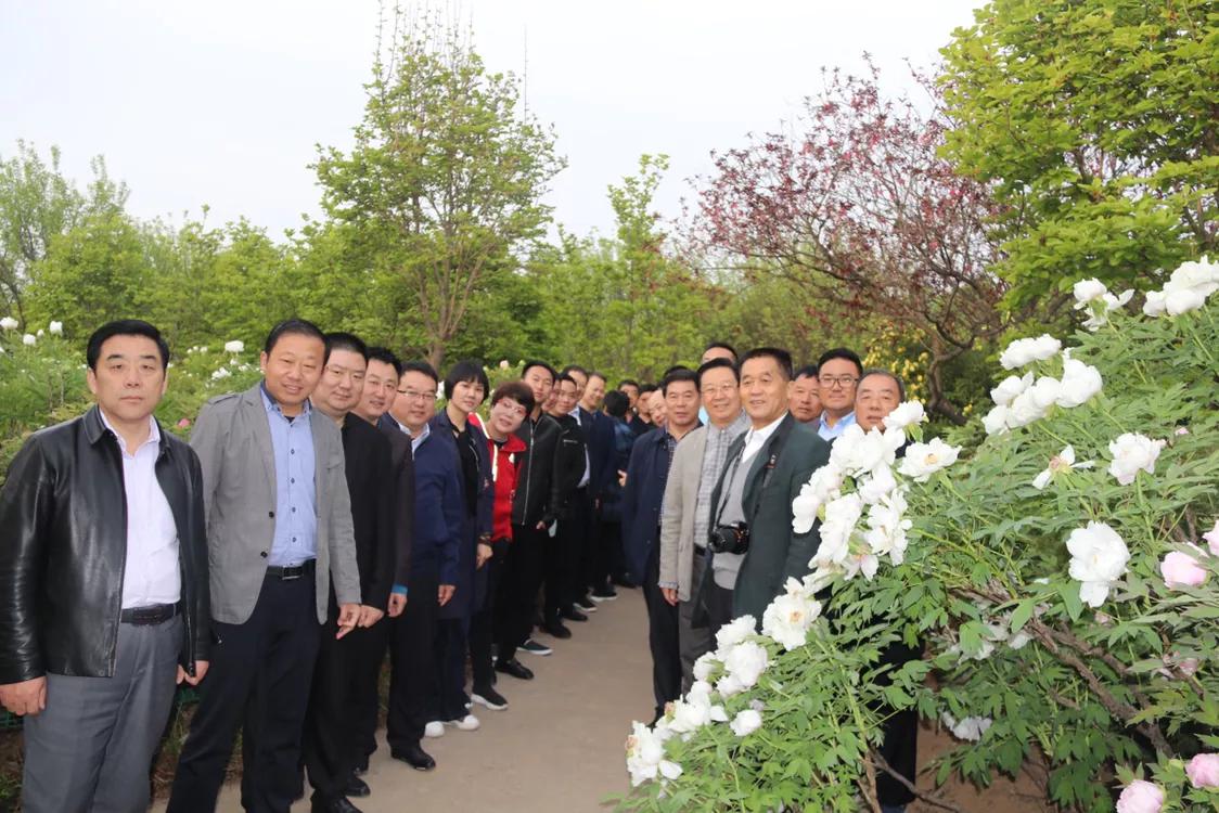 河南芒砀商会,芒砀山交流会2020