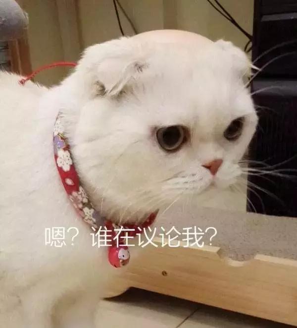 抖音爆火沙雕网红,抖音沙雕段子网红