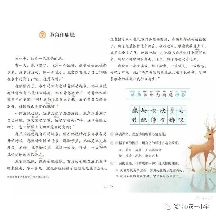 小学语文教师沙龙活动内容,小学语文教研沙龙活动美篇