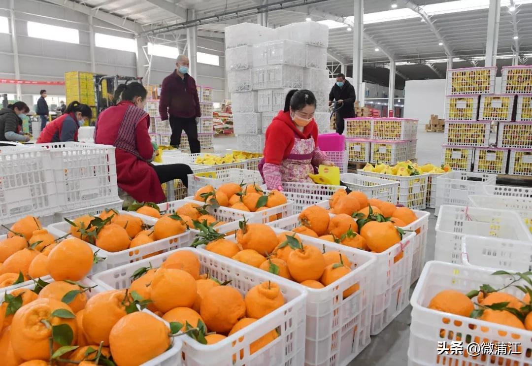 牛牛牛！这个地方农产品电商销售迈进2019全国50强，名列19位