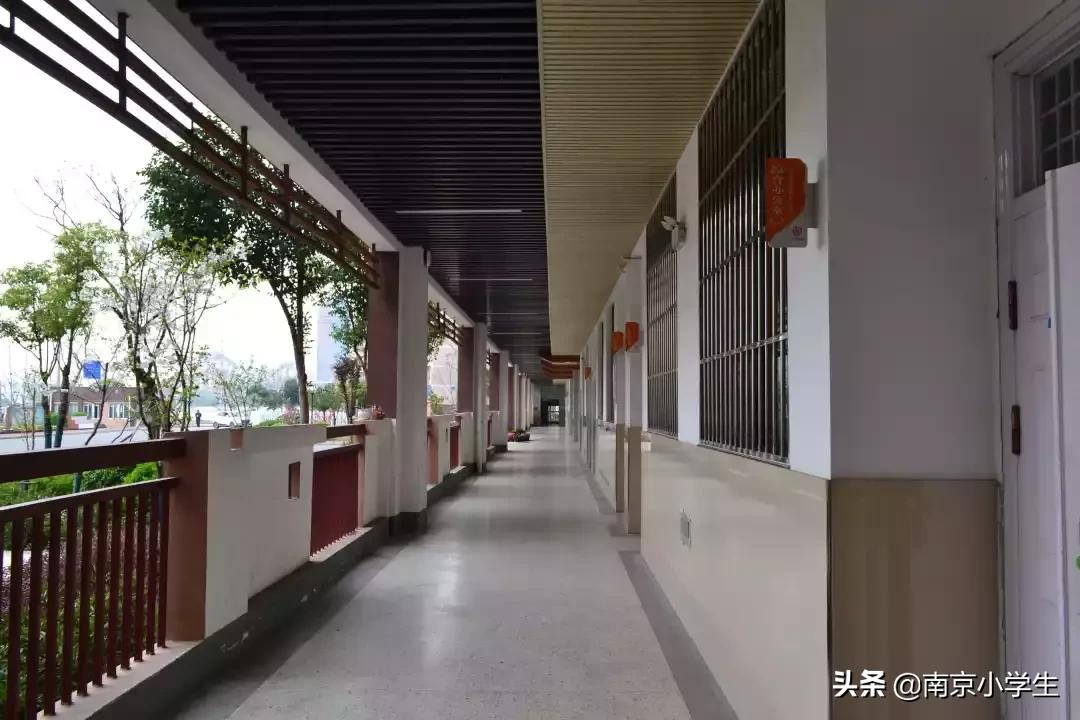 春和景明少年时,古雄小学2021年新生