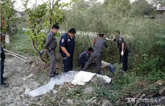 中国大象踩死导游事件,泰国大象为什么会踩死导游