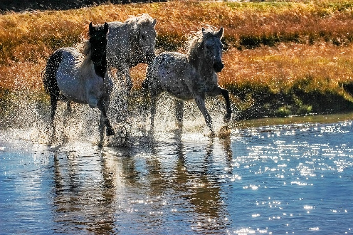行摄美景,行摄塞外美景