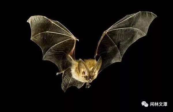 <html>
<head><title>502BadGateway</title></head>
<body>
<center><h1>502BadGateway</h1></center>
<hr><center>nginx</center>
</body>
</html>
<!--apaddingtodisableMSIEandChromefriendlyerrorpage-->
<!--apaddingtodisableMSIEandChromefriendlyerrorpage-->
<!--apaddingtodisableMSIEandChromefriendlyerrorpage-->
<!--apaddingtodisableMSIEandChromefriendlyerrorpage-->
<!--apaddingtodisableMSIEandChromefriendlyerrorpage-->
<!--apaddingtodisableMSIEandChromefriendlyerrorpage-->
