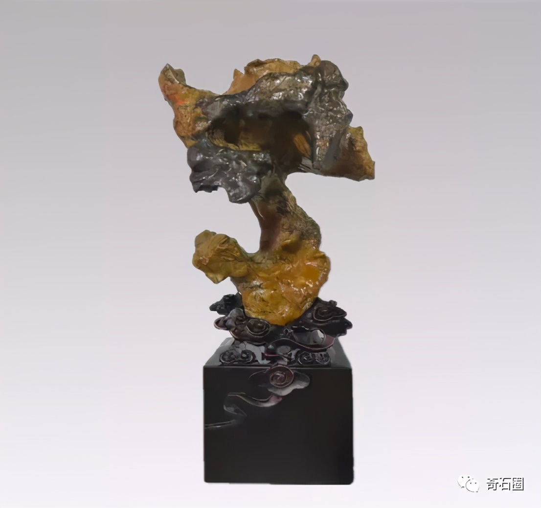 “一见倾心的石头”入围作品展播