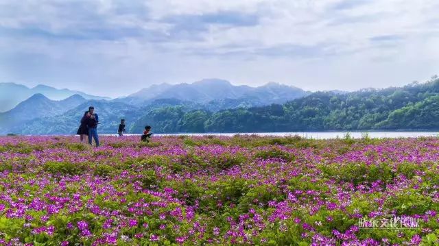 周末玩洱海,假期去大理洱海旅游