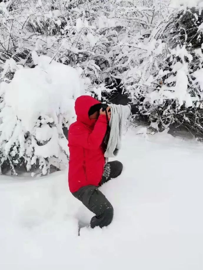 一场冰雪奇缘的视频,一场真正的冰雪奇缘视频