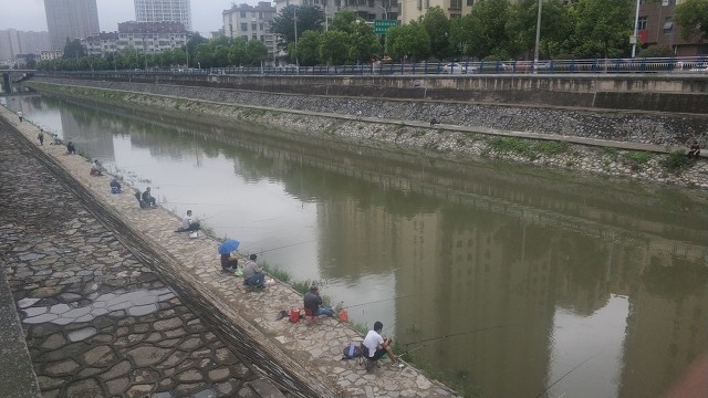 湖北男人爱钓鱼孟非,为什么湖北男人喜欢钓鱼