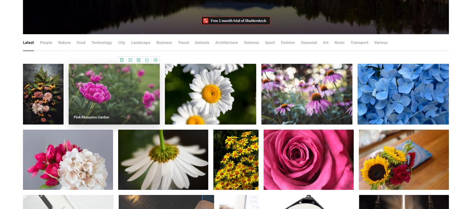 视频素材无水印免费下载网站,无版权视频素材网站