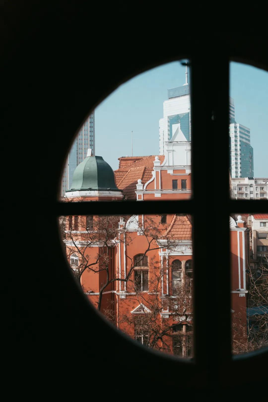 均温20℃的海滨老城，紫色泡桐花美得像国外，现在去性价比超高