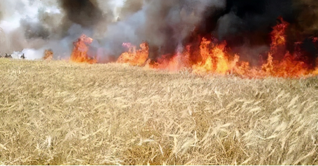 美军叙利亚偷石油,美军被曝在叙利亚偷石油