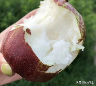 这个夏天绝不能错过的高营养水果,夏季最不容错过的4种水果