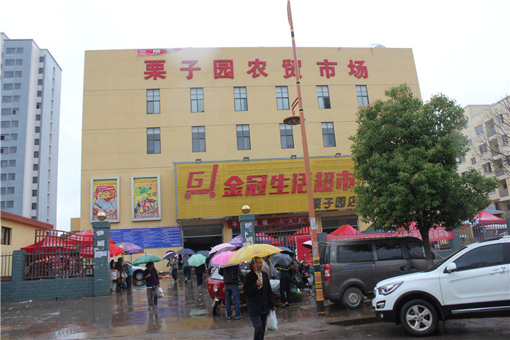 楚雄东南新城栗子园,楚雄栗子园规划